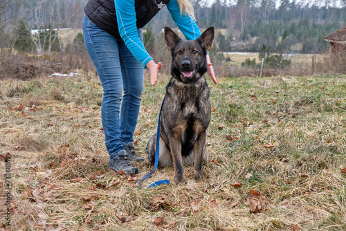 Energetic healing of a German Shepherd by a woman in Bredebolet in Skaraborg in Sweden