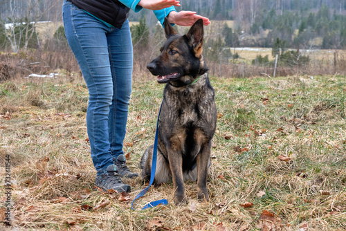 Energetic healing of a German Shepherd by a woman in Bredebolet in Skaraborg in Sweden