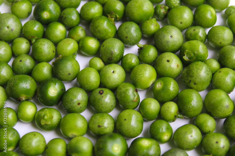 Fruit of Solanum nigrum, the European black nightshade or leunca, flat lay or top view Fruit of Solanum nigrum, the European black nightshade or leunca, flat lay or top view