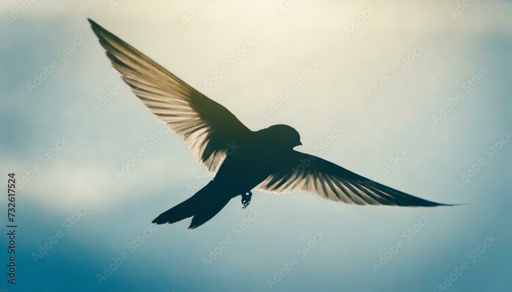 A silhouette of a bird flying in the sky. A silhouette of a bird flying in the sky.