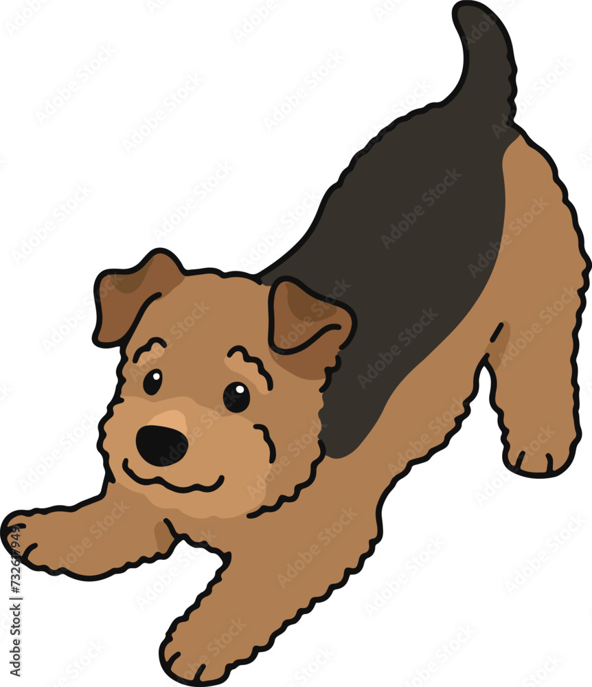 Simple and cute playful Welsh Terrier illustration Simple and cute playful Welsh Terrier illustration