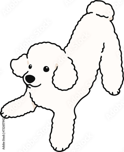 Simple and cute playful white Poodle illustration