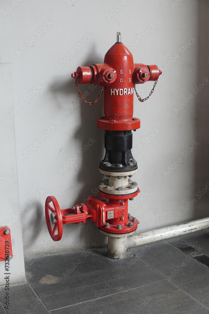 Fototapeta premium red fire hydrant