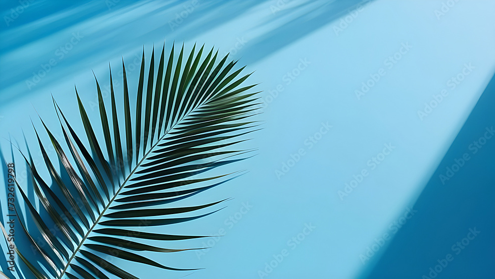 Fototapeta premium Palm leaf on a blue background, top view, background for presentation.