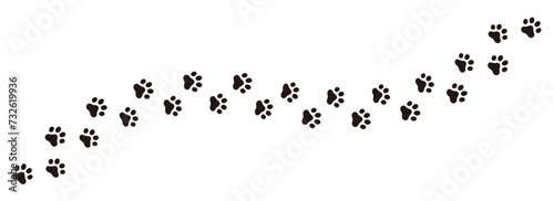 Paw footprint of dog or cat