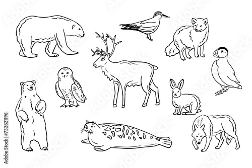 Contour hand drawn arctic animals and birds set