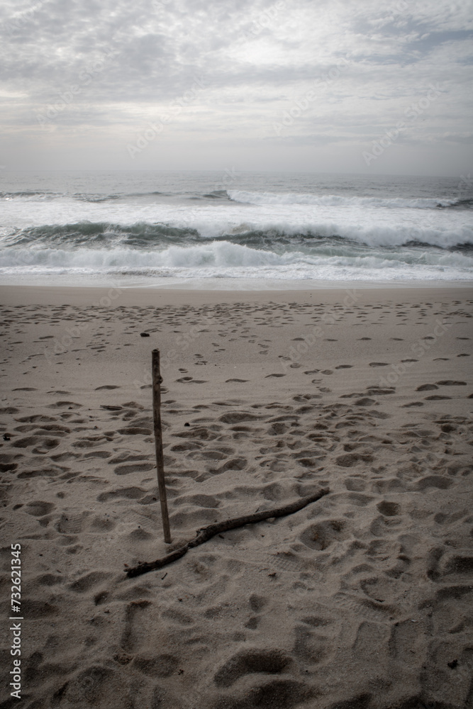footprints on the beach, wood on sand footprints on the beach, wood on sand