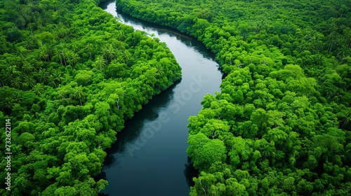 Aerial river winding through a rainforest, the lifeline of the ecosystem, bordered by dense greenery 