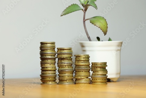Wealth, financial success, business an economic growth, savings and stock money symbolized by stacked money coins and plant.
