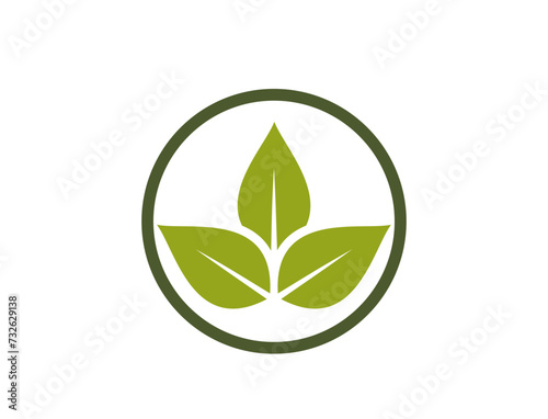 eco friendly icon. leaves in a circle. organic and bio symbol. vector image in flat design