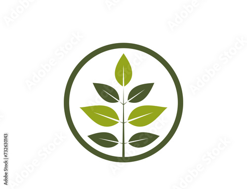 natural product icon. twig twig with leaves in a circle. eco friendly and bio symbol. vector image in flat design