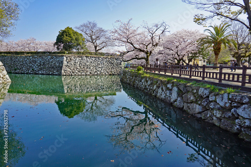 World Heritage Himeji Castle moat and beautiful cherry blossoms, Himeji, Hyogo Prefecture, Japan