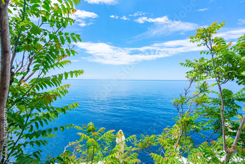 View of blue ocean and sky surrounded by trees and plants. Summer vacation , paradise concept.
