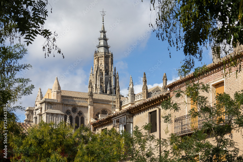 Fototapeta premium cathédrale sainte-marie
