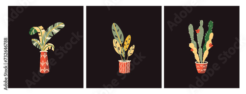 Vector illustration with cartoon hand drawn house plants in pots with ornaments. Set of vector isolated elements for the design of cards, advertising, banners, websites. Scandinavian decorative style.