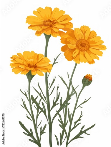Minimalist Illustration of Yellow Marigold with White Background Generative AI