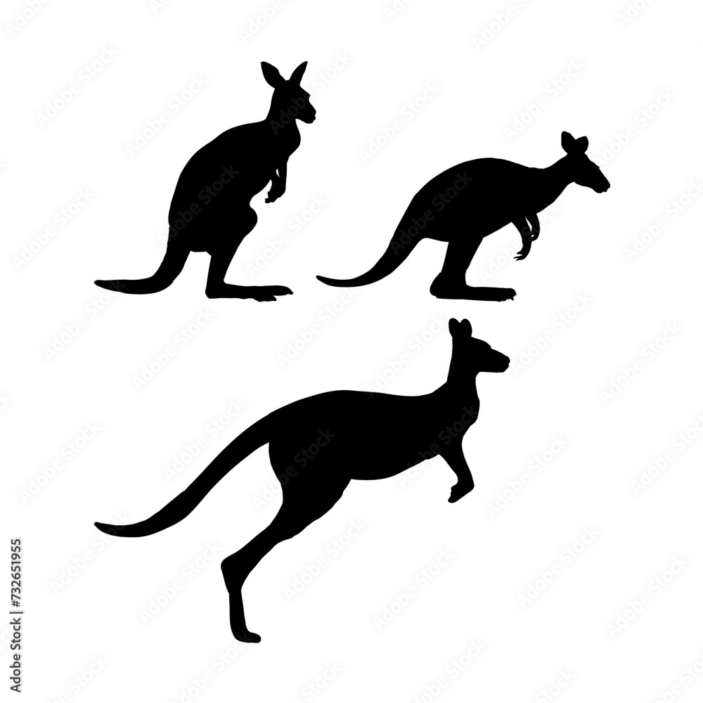  kangaroo silhouette - vector illustration