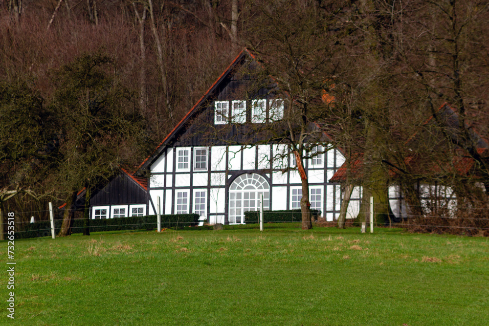 Fototapeta premium Charming house surrounded by greenery in a scenic rural landscape