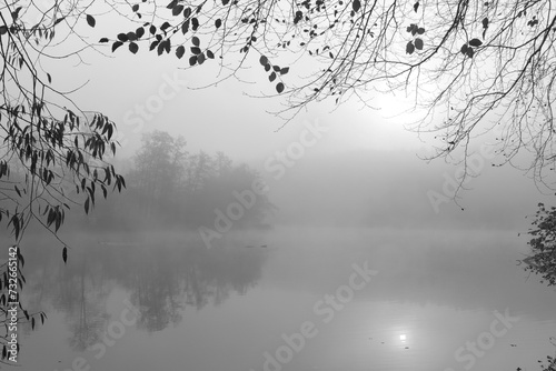 misty morning, grief and loss concept, mourning cards, black & white