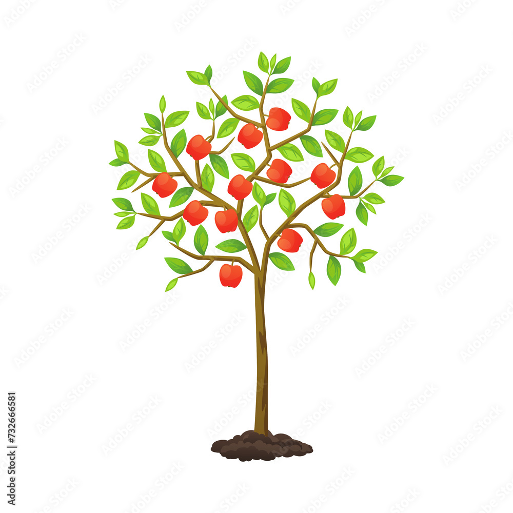 Obraz premium tree with leaves