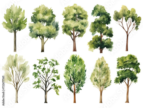 Set of Watercolor trees collection on transparent background 