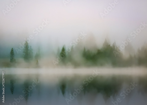 Wald an einem Seeufer im Nebel mit Spiegelung im Wasser, Freifläche