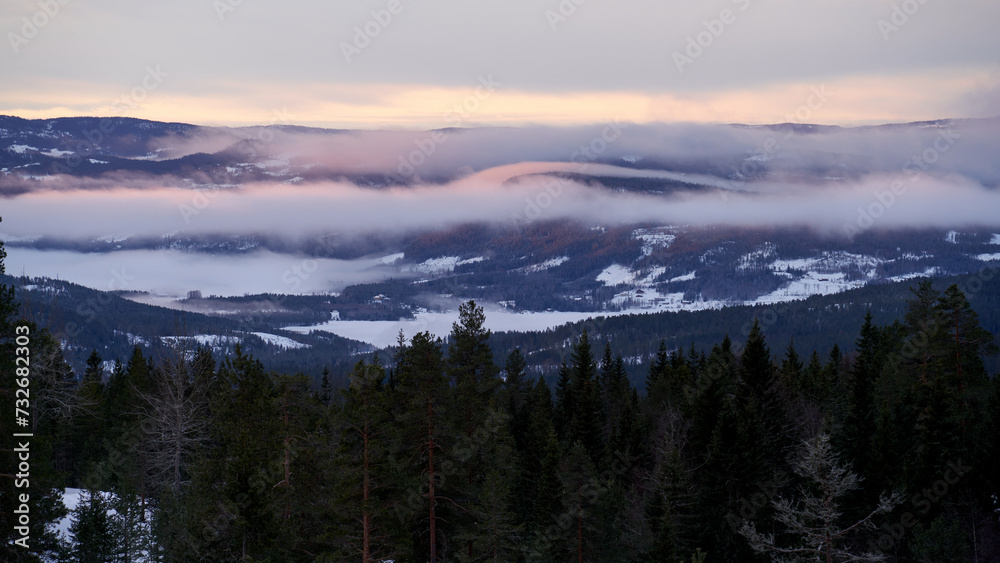 foggy valley with evergreen trees in the foreground and snow-capped mountains in the background