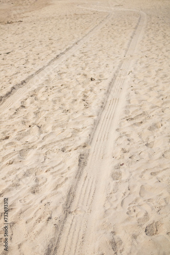 
Trail of pickup truck and bug on a beach in northeastern Brazil between Alagoas and Pernambuco, beautiful images on the white sand