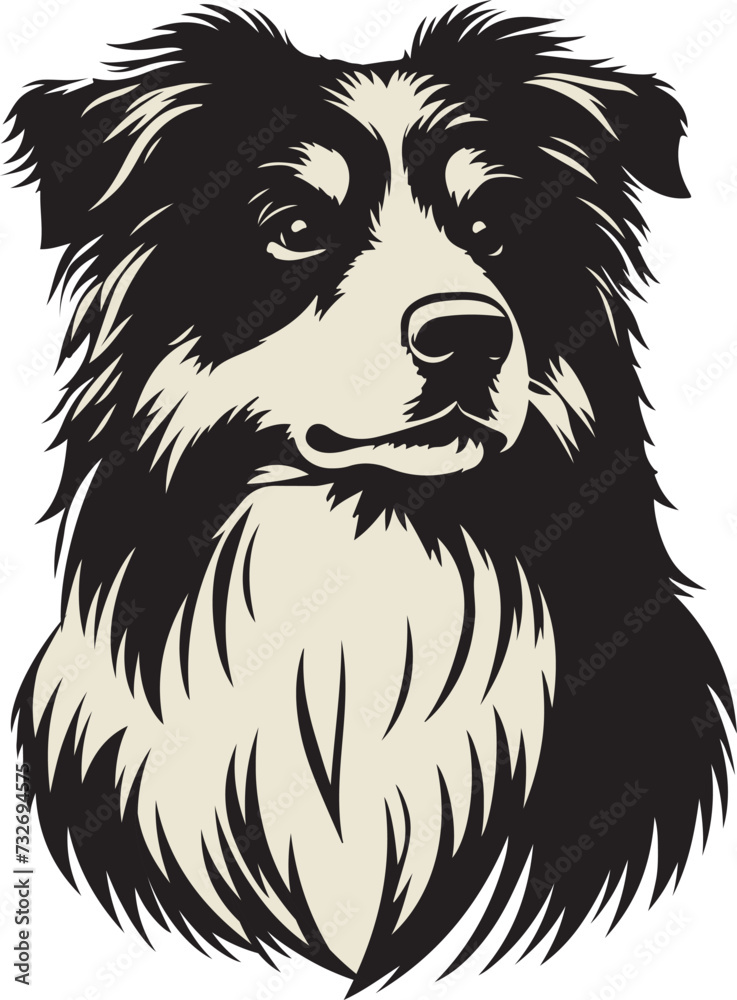 Australian Shepherd Dog Portrait Vector Australian Shepherd Dog Portrait Vector