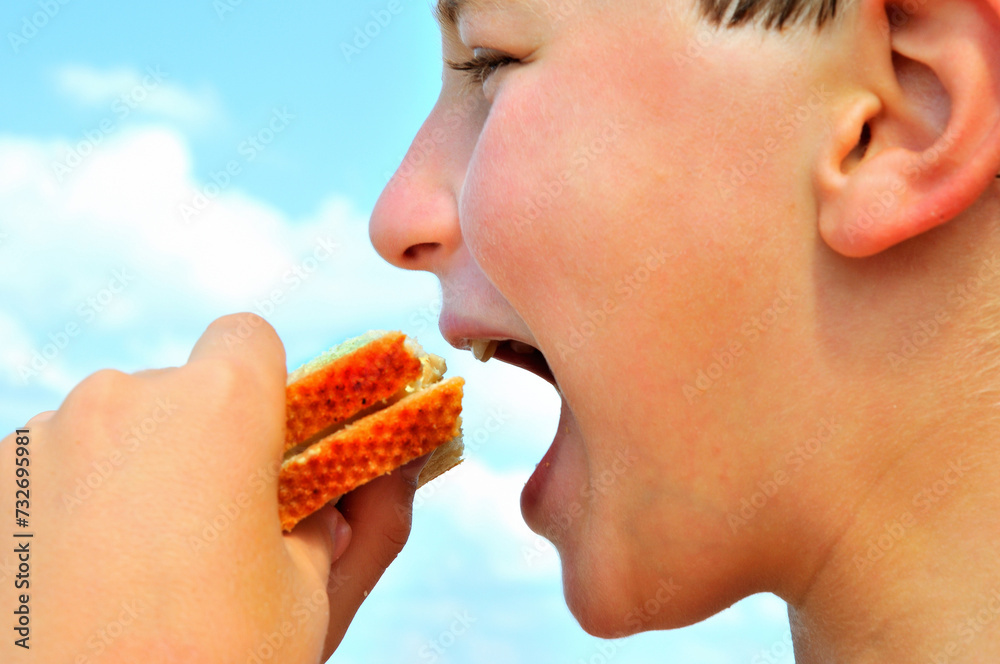 Boy eating a cheese sandwich