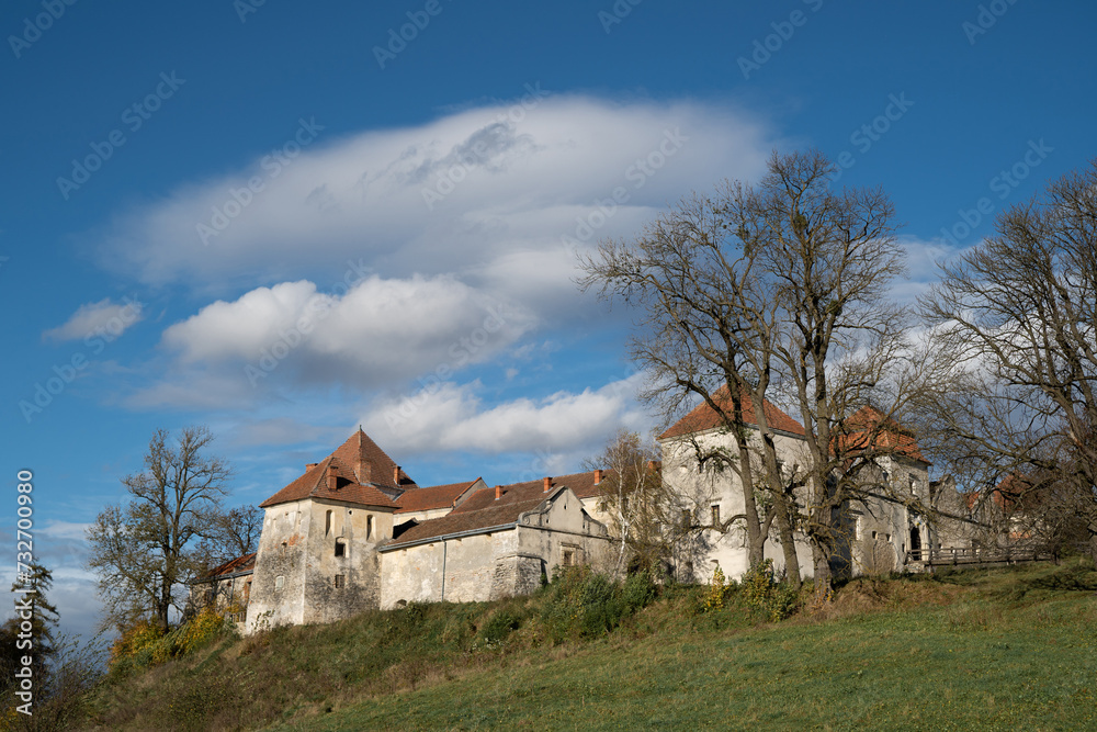 beautiful landscape of the castle on the hill in Ukraine in the village of Svirzh