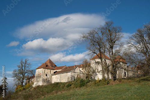 beautiful landscape of the castle on the hill in Ukraine in the village of Svirzh
