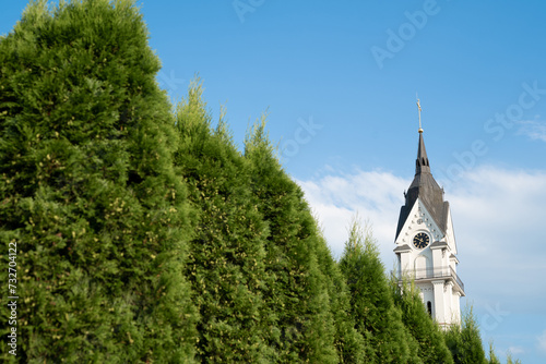 Fototapeta Naklejka Na Ścianę i Meble -  beautiful cathedral against the background of blue sky and green bushes