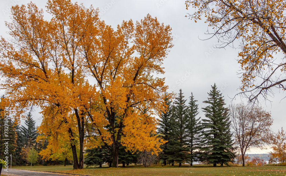 North Glenmore Park, Calgary, Alberta, Canada North Glenmore Park, Calgary, Alberta, Canada