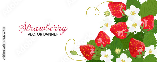 Horisontal banner with strawberry isolated on a white background. Vector illustration.