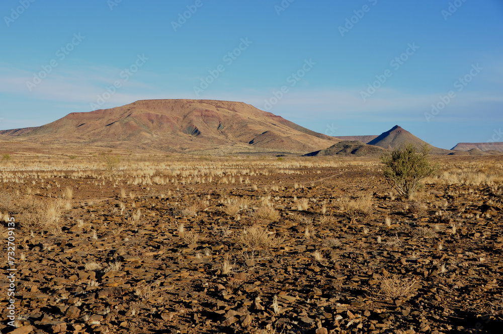 Wüstenlandschaft im Süden Namibias nahe Retboog. Desert landscape and vegetastion in the south of Namibia near Retboog