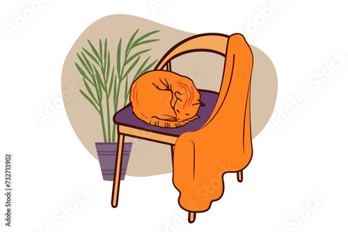 Armchairs with cat and plaid against the background of a houseplant. Cosy hygge aesthetics, pleasant winter family atmosphere, Cute autumn-winter and Christmas set of symbols of a warm and cozy home.