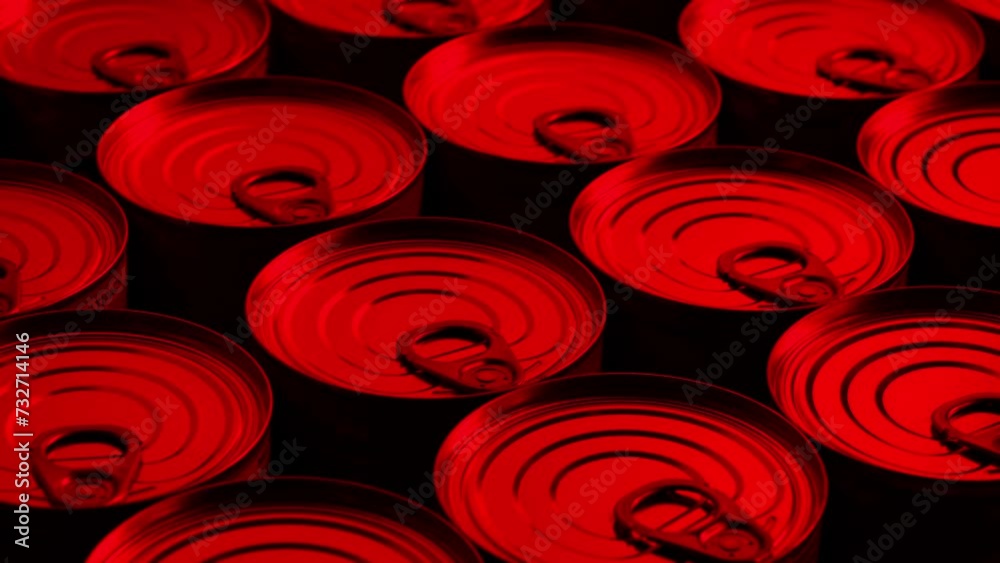 Canned Food In Storage Bunker Detail
