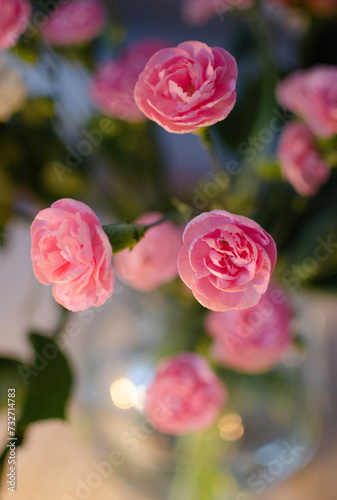 Pink flowers