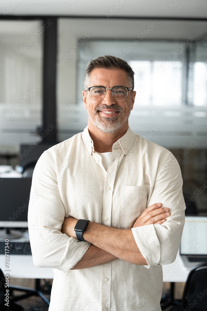 Vertical portrait of handsome hispanic senior business man with crossed arms smiling at camera. Indian or latin confident mature good looking middle age leader male businessman on blur office back. Vertical portrait of handsome hispanic senior business man with crossed arms smiling at camera. Indian or latin confident mature good looking middle age leader male businessman on blur office back.