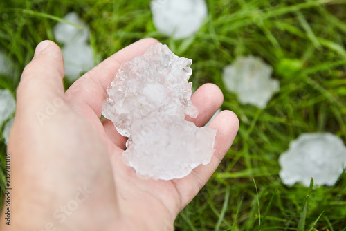 A hand holds large hailstones, freshly fallen on a vibrant green lawn, showcasing the aftermath of a sudden hailstorm. Large hails closeup