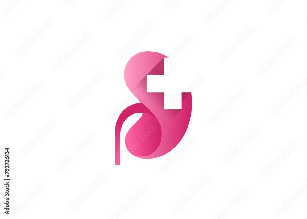 Kidneys vector icon isolated with medical cross Kidneys vector icon isolated with medical cross