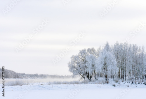 Winter landscape on the coast of the river
