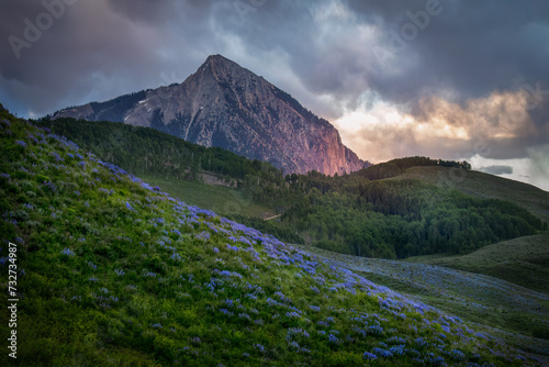 Mt. Crested Butte with Lupine
