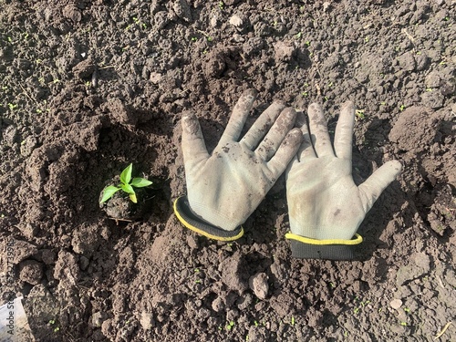 gloves on the ground