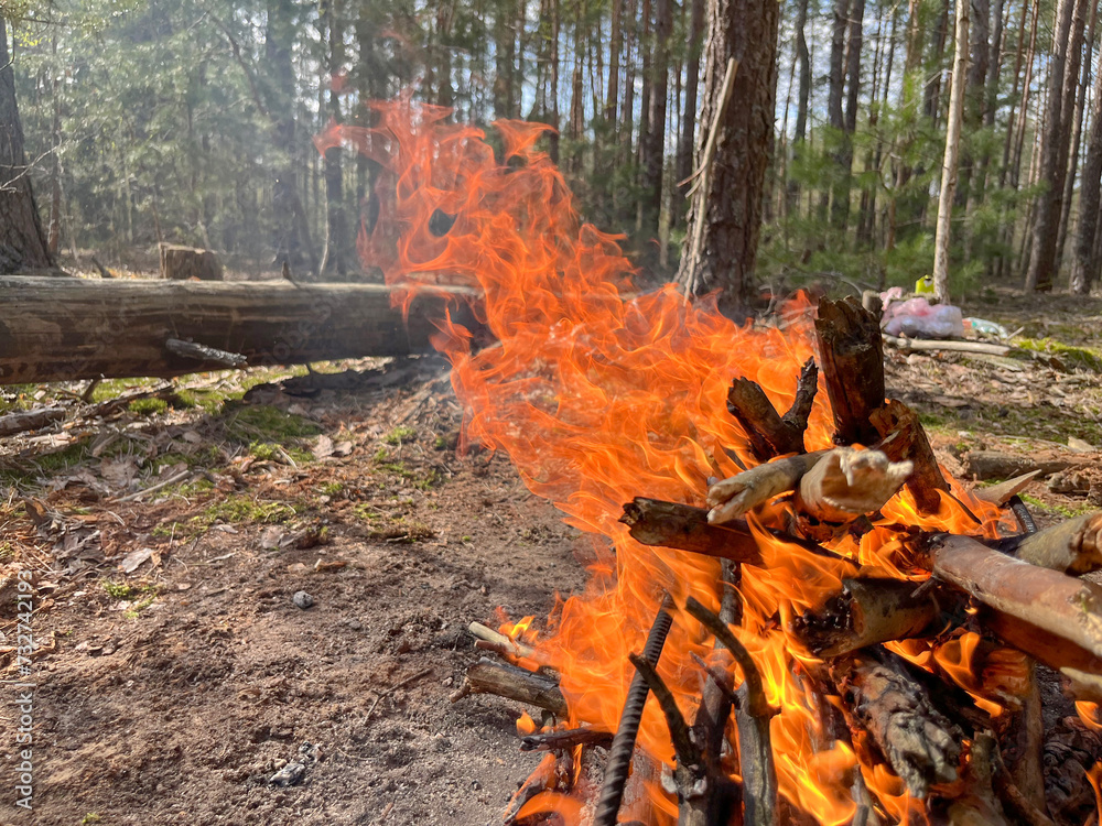 a barbecue campfire is built in the forest a barbecue campfire is built in the forest