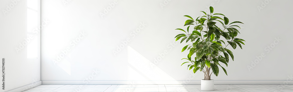 A large indoor tropical plant thrives in a bright room A large indoor tropical plant thrives in a bright room