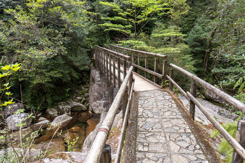 Mt. Tachu in Yakushima island photo