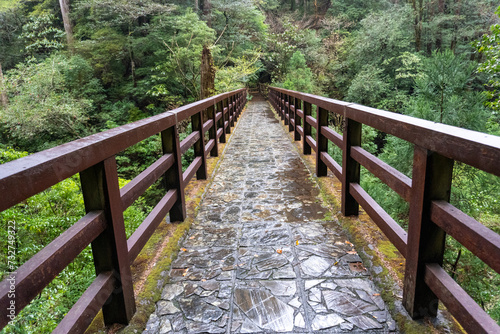 Mt. Tachu in Yakushima island