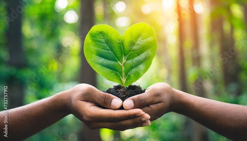 hands holding green heart leaves plant a planting trees loving the environment and protecting nature nourishing the plants and world look beautiful forest conservation concept photo